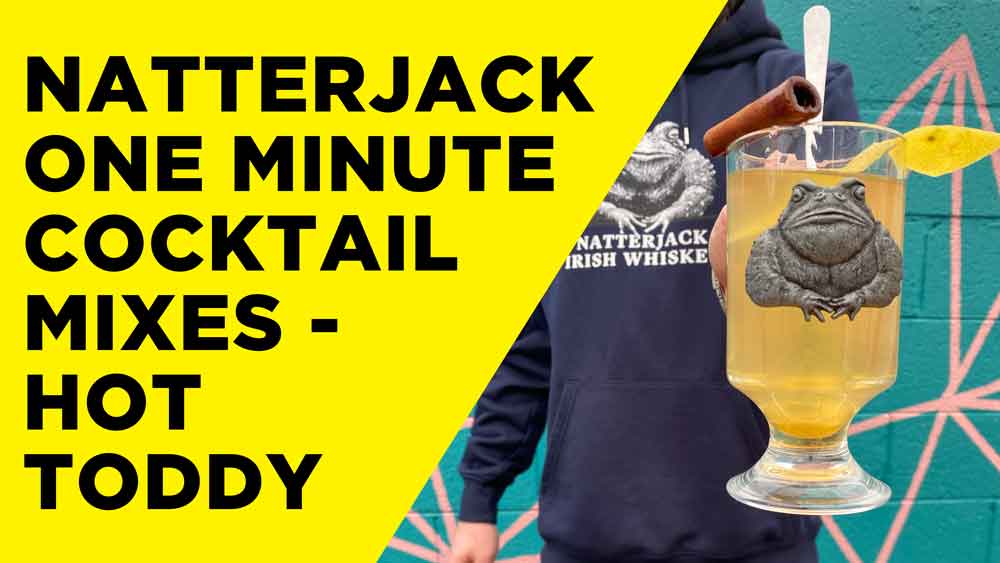 Natterjack Hot Toddy - EASY WHISKEY COCKTAILS TO MAKE AT HOME